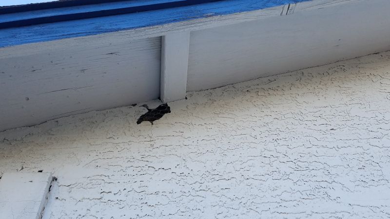 Synthetic Stucco Repair